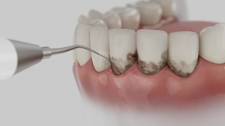 Reliable Dental contractor in Laguna Heights, TX by Dentist Open Now